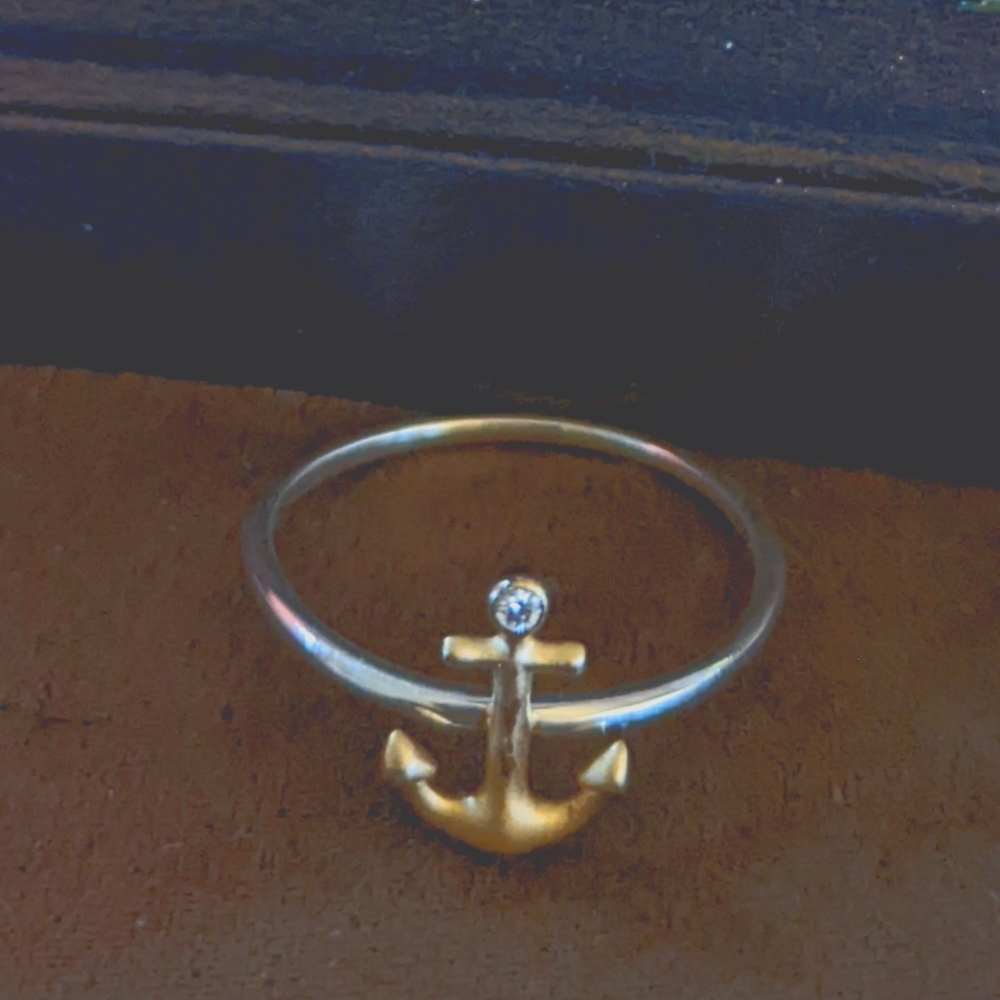 Rebecca Hook anchor ring